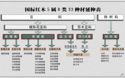 大红酸枝为什么会叫“老红木”？